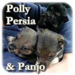 3 Babys